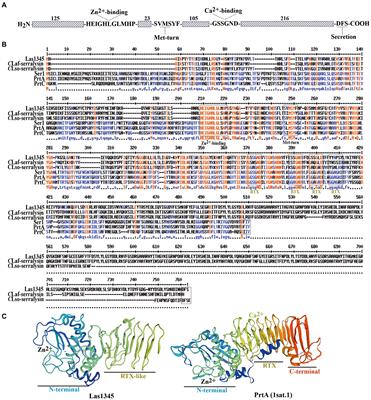 A serralysin-like protein of Candidatus Liberibacter asiaticus modulates components of the bacterial extracellular matrix